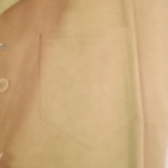 Suede Tan Dress - Picture 2 of 4